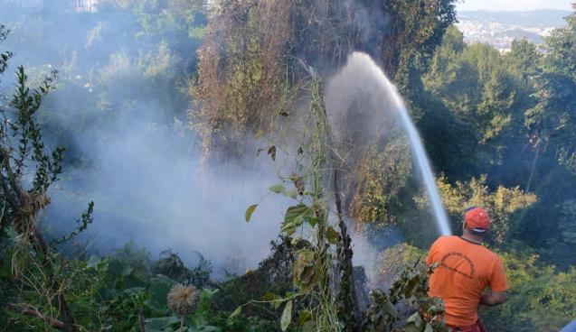 Gülüç'te yangın..
