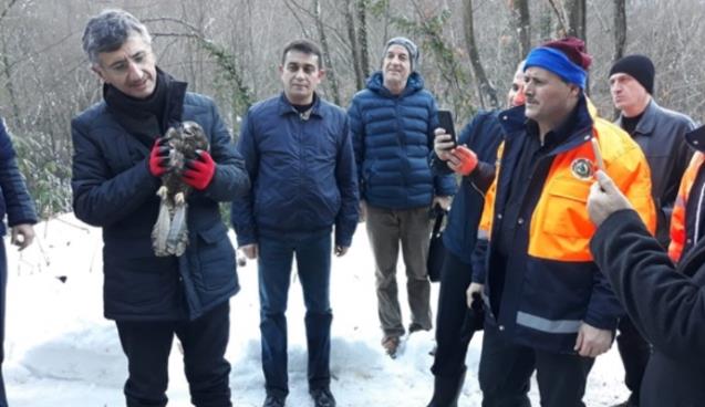 Vali Bektaş Harmankaya Şelalesi’nde…