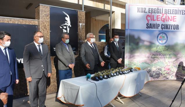 KDZ. EREĞLİ BELEDİYESİ, OSMANLI ÇİLEĞİ FİDESİ DAĞITACAK