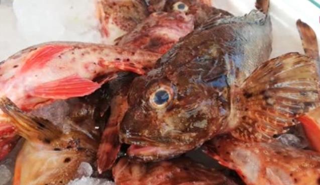 Çirkin olduğuna bakmayın... O kadar çok tüketiliyor ki!...