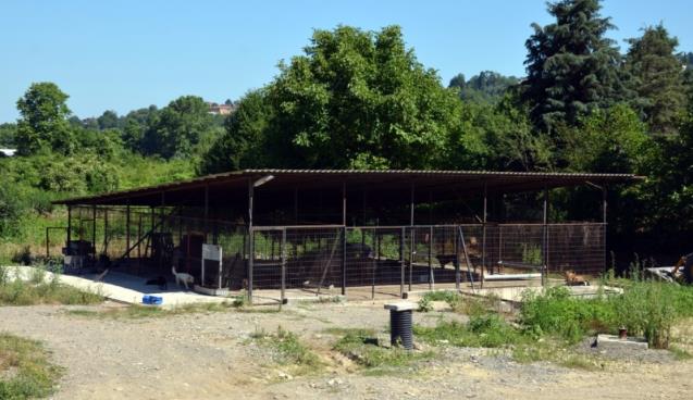 Hayvan Barınağı modernize ediliyor...
