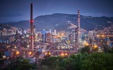 Erdemir’den altın hamle