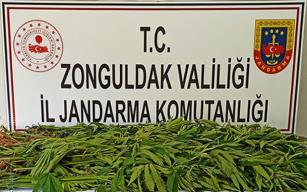 ZONGULDAK JANDARMA EKİPLERİNDEN TOPLAM 31 OPERASYON