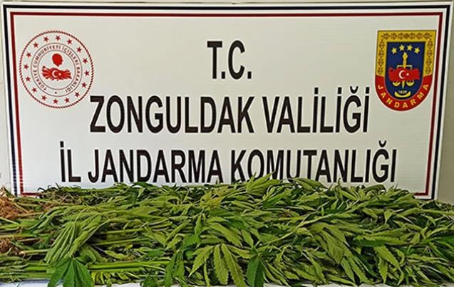 ZONGULDAK JANDARMA EKİPLERİNDEN TOPLAM 31 OPERASYON