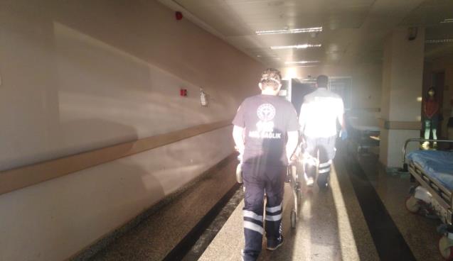 AĞAÇTAN DÜŞTÜ HASTANELİK OLDU