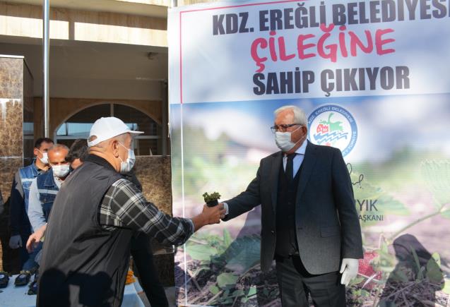 KDZ. EREĞLİ BELEDİYESİ ÇİLEĞİNE SAHİP ÇIKIYOR