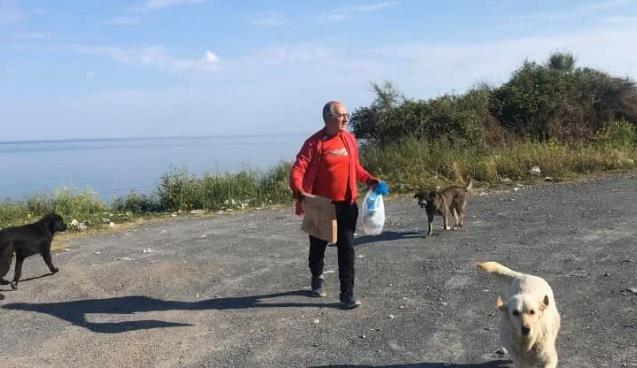 SAHİPSİZ DEĞİLLER