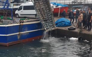 Balık avına tekne takıldı...