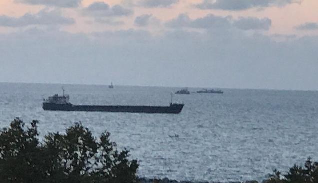 Karadeniz’de hareketli saatler: Tüm tekneler onun peşinde