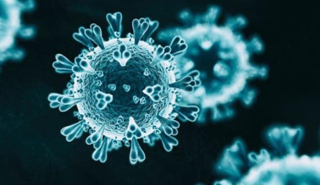 Vaka sayısı 989, ölüm 19