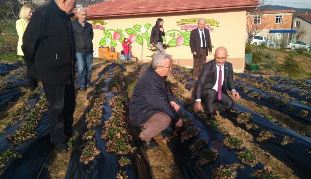 "ÜRETİM ARTTIRILMALI"