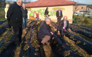 "ÜRETİM ARTTIRILMALI"