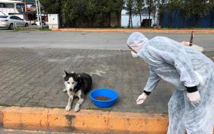 Sokak Hayvanları Unutulmadı