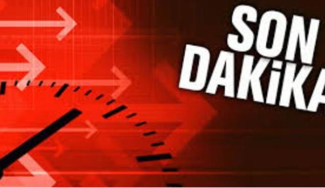 Böyle AKILI DELİ görülmedi...