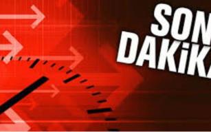 Böyle AKILI DELİ görülmedi...