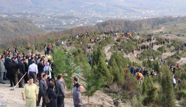 32 Bin Fidan Toprakla Buluştu