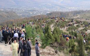 32 Bin Fidan Toprakla Buluştu