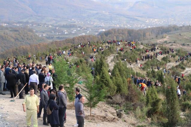32 Bin Fidan Toprakla Buluştu
