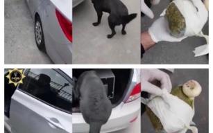 ZULA YUTMAZ’a ödül var!..