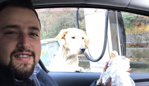 Seyir halindeyken hayvanseverin yolunu kestiler, sonrası