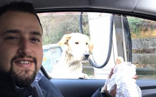 Seyir halindeyken hayvanseverin yolunu kestiler, sonrası