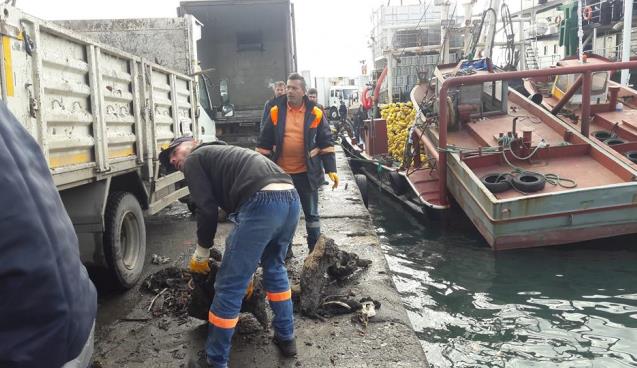 Kdz.Ereğli Temizlik İşleri İş Başında