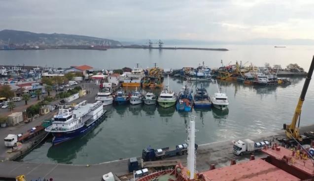 Küçük hamsi yakalayanlara Ceza