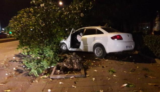 Ağacı devirdi, otomobili pert etti…