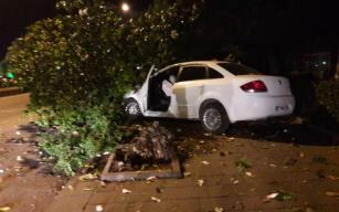 Ağacı devirdi, otomobili pert etti…