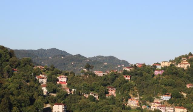 Zonguldak'ta bayram sabahı silahlar konuştu 