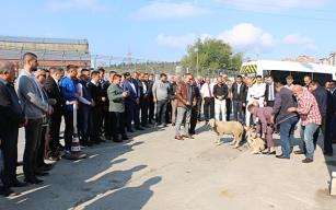 Kurban kesip, dua ettiler…