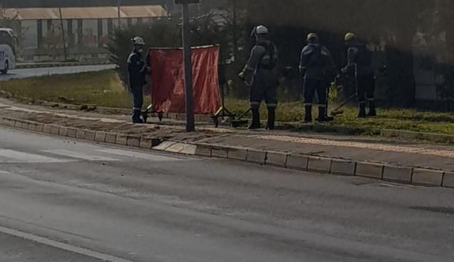 Astronot mu? Bahçıvan mı?