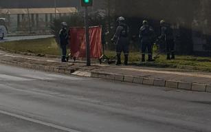 Astronot mu? Bahçıvan mı?