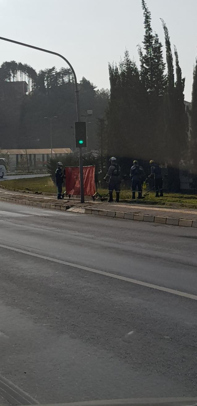 Astronot mu? Bahçıvan mı?