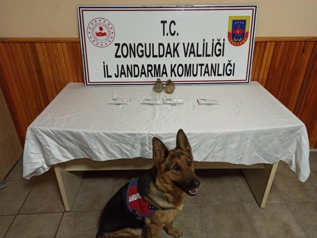 Jandarmadan uyuşturucu operasyonu: 1 gözaltı