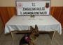Jandarmadan uyuşturucu operasyonu: 1 gözaltı