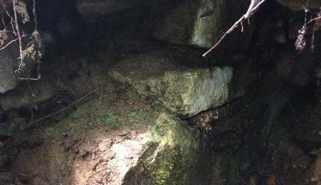 Definecilerin kazısından 1500 yıllık mezar çıktı 