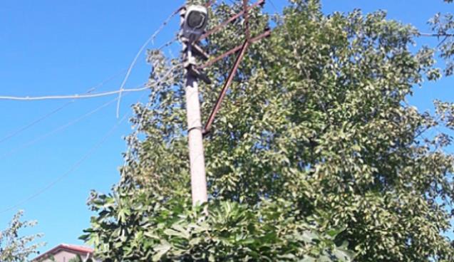 Ağaç dalları yangına sebep oldu…