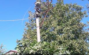 Ağaç dalları yangına sebep oldu…