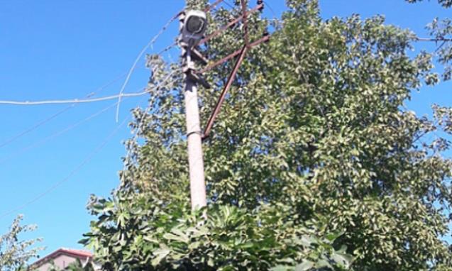 Ağaç dalları yangına sebep oldu…