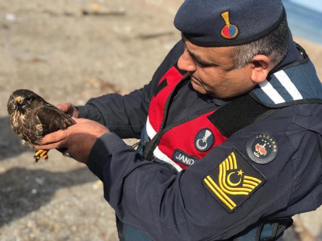 Jandarmadan yaralı Doğan'a şefkat eli