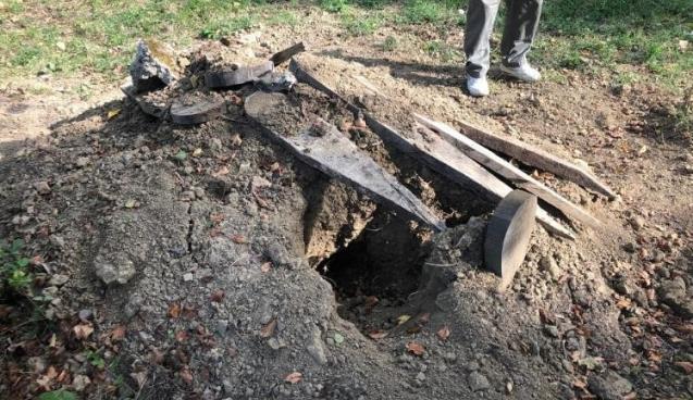 Mezarlıktaki fotokapana çakal ve yavruları takıldı