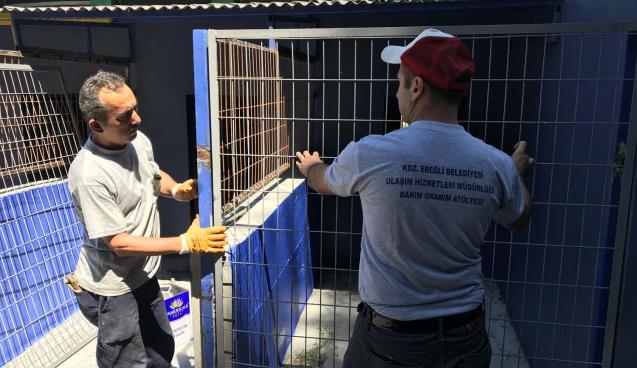 Sokak Hayvanları Rehabilitasyon ve Bakım Merkezi yenileniyor