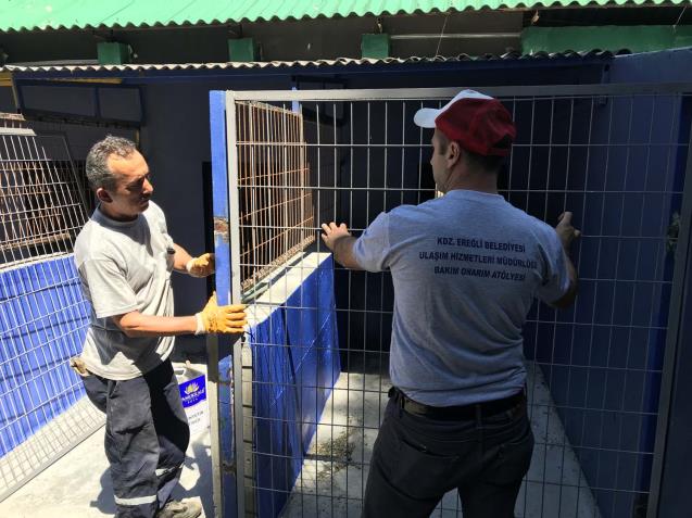 Sokak Hayvanları Rehabilitasyon ve Bakım Merkezi yenileniyor
