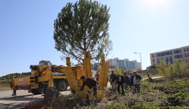 ‘Sürdürülebilir Yeşil Kampüs’ çalışmaları hız kazandı
