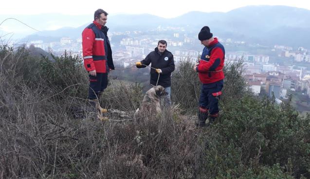 İtfaiye Müdürlüğü ve Veteriner İşleri Müdürlüğü İş Başında