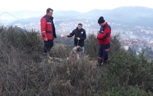 İtfaiye Müdürlüğü ve Veteriner İşleri Müdürlüğü İş Başında