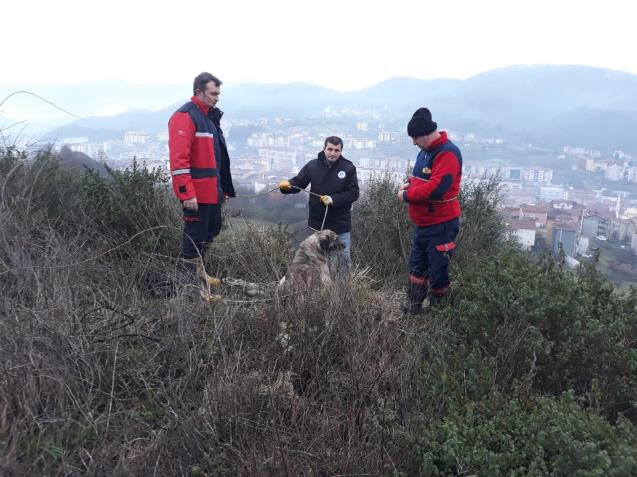 İtfaiye Müdürlüğü ve Veteriner İşleri Müdürlüğü İş Başında