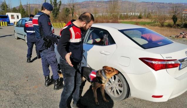 Jandarmadan 53 ekiple narkotik uygulaması