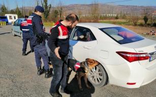 Jandarmadan 53 ekiple narkotik uygulaması